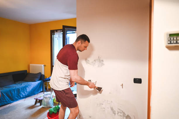 Best DIY Mold Remediation Support Services in East Williston, NY